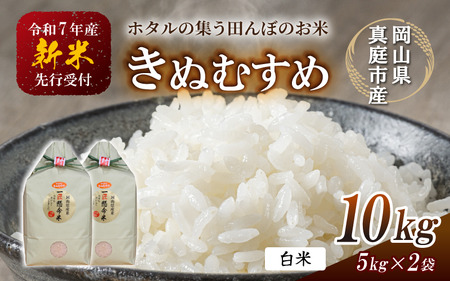 yߘaVNYzV ^sYʂނ  10kg /R |X s\ ytakenaka027-01z
