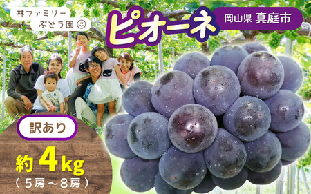 [訳あり]岡山県産 林ファミリーのピオーネ 約4kg(約5〜8房) [2025年先行予約] / ぶどう ぶどう先行予約 真庭のぶどう お試しぶどう 葡萄 フルーツ 果物 ピオーネ お買い得 [hfami020]