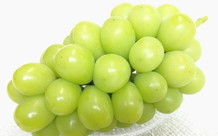 [訳あり]岡山県産 林ファミリーのシャインマスカット 約1.2kg(約2〜3房) [2025年先行予約] / ご家庭用 岡山 真庭市 ぶどう 果物 フルーツ [hfami021]
