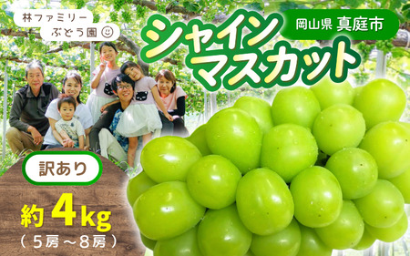 [訳あり]岡山県産 林ファミリーのシャインマスカット 約4kg(約5〜8房) [2025年先行予約] / ぶどう ぶどう先行予約 真庭のぶどう お試しぶどう 葡萄 フルーツ 果物 マスカット お買い得 [hfami023]