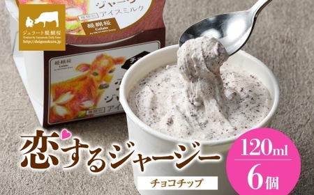 [ジェラート醍醐桜]恋するジャージー チョコチップ 6個セット / 岡山 真庭 醍醐桜 極上スイーツ 濃厚 プレゼント 贈答 デザート ギフト ジャージー牛 ミルク チョコレート ジェラート おやつ 子供から大人まで 冷凍 人気 贅沢 家庭用にも[jfg-daigo017]