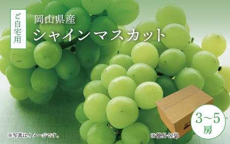 真庭市産 シャインマスカット 自宅用 3〜5房 / [2025年9月中旬以降発送予定]数量限定 ブドウ ぶどう お手頃 訳あり 岡山 真庭 マスカット 葡萄 果物 フルーツ 新鮮 産地直送 家庭用 人気 種なし [配送不可地域:北海道・沖縄県・離島] (shinemuscat03) [jujiya003]