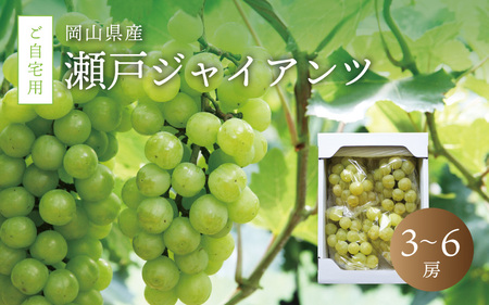 真庭市産 瀬戸ジャイアンツ 自宅用 3～6房 / 【2025年9月中旬以降発送予定】数量限定 ブドウ ぶどう お手頃 訳あり 岡山 真庭 瀬戸ジャイアンツ 葡萄 果物 フルーツ 新鮮 産地直送 家庭用 人気 種なし 【配送不可地域：北海道・沖縄県・離島】 (seto02) 【jujiya008】