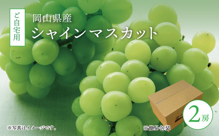 真庭市産 シャインマスカット 自宅用 2房 / [2025年9月中旬以降発送予定]数量限定 ブドウ ぶどう お手頃 訳あり 岡山 真庭 マスカット 葡萄 果物 フルーツ 新鮮 産地直送 家庭用 人気 種なし [配送不可地域:北海道・沖縄県・離島] (shinemuscat06) [jujiya011]