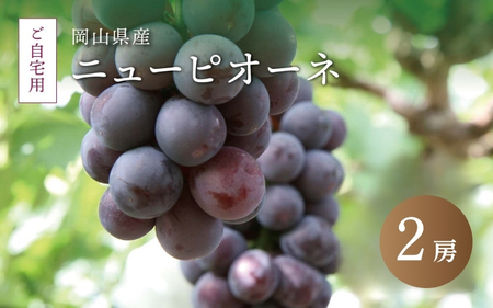 真庭市産 ニューピオーネ 自宅用 2房 / [2025年8月中旬以降発送予定]数量限定 ブドウ ぶどう お手頃 訳あり 岡山 真庭 ピオーネ 葡萄 果物 フルーツ 新鮮 産地直送 家庭用 人気 種なし [配送不可地域:北海道・沖縄県・離島] (pione04) [jujiya013]