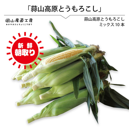 蒜山高原 とうもろこし ミックス10本 [配送不可地域:北海道/沖縄県/離島][jujy003-02]