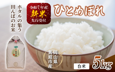 [令和7年産先行予約] 令和7年新米 真庭市産 ひとめぼれ 白米 5kg / 新米 お米 岡山県 真庭市 白米 ヒトメボレ ひとめぼれ 人気 ブランド米 新米 令和7年産 2025年産 (TKN-26)[takenaka039-01]