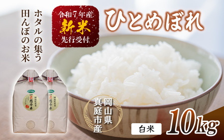 yߘa7NYz V ^sY ЂƂ߂ڂ  POkg(5kg×2܁j R |X s\ ytakenaka040-01z
