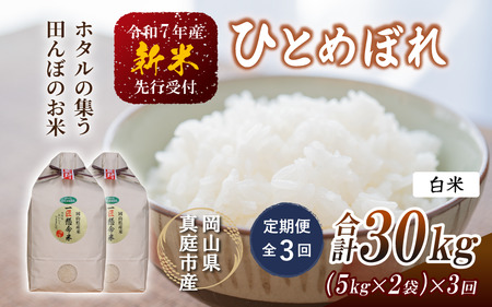 yߘa7NYz֑S3 V ^sY ЂƂ߂ڂ  POkg(5kg×2)×R R |X s\ ytakenaka040-01-tkb03z