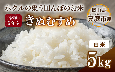 ߘa6NY ʂނ  5kg R^sY / Y   uh ytakenaka001z