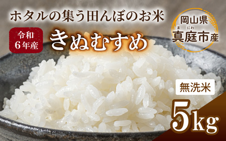 yߘa6NYz ʂނ  5kg R^sY / Y  uh  ytakenaka003z