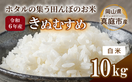 ߘa6NY ʂނ  10kg R^sY /  Y  uh ytakenaka002z
