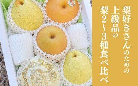 [きよとうファーム]梨好きのための、梨2〜3種食べ比べ 上級品 5-7玉 (岡山県産) [KF-C014-01]
