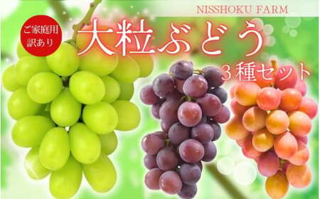 �y2026�N��s�\��z���ƒ�p�嗱�Ԃǂ��R��Z�b�g���R�@�󂠂�yNF-13-01�z �Ԃǂ� �l�ߍ��킹 �^��s �H�ה�ׁynisfarm013-02�z