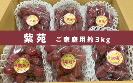 yƂt@[z󂠂  /3kg (RY) yKF-B042-01z