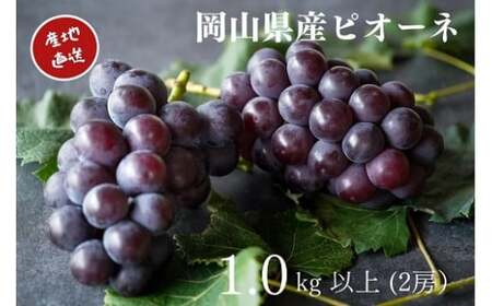 y2026Ns\z I RY sI[l 1.0kgȏ 2[ / Yn ̂ Ԃǂ  s\ ^s t[c ykgftmt003-02z