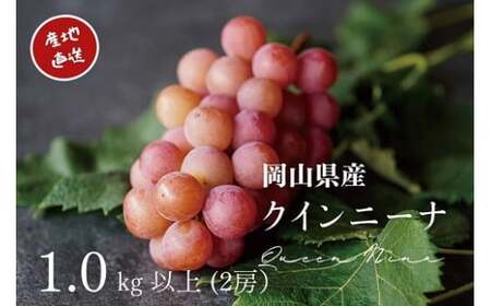 y2026Ns\z IԂǂ RY NC[j[i 1.0kgȏi2[j Yn ̂VNI / Ԃǂ  NC[j[i s\ t[c ʕ R ^s Â   VN