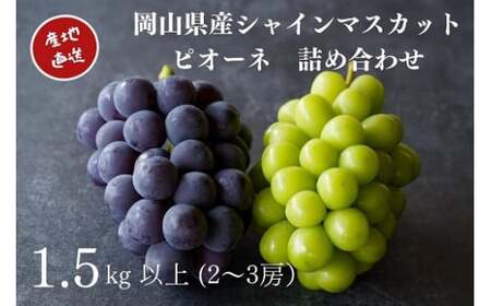 y2026Ns\zI RY VC}XJbgEsI[l l 1.5kgȏ 2`3[ Yn ̂ / Ԃǂ  t[c s\ ^sykgftmt009-02z