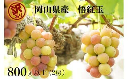 y2026Ns\zRY y󂠂z g800gȏi2[jYn ̂ / Ԃǂ  uhE s\  t[c ^sykgftmt019-02z