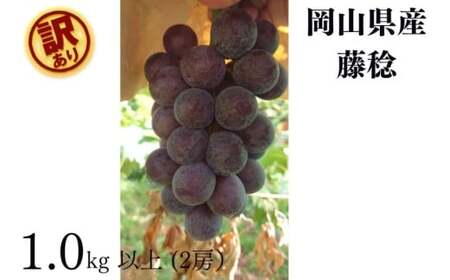 y2026Ns\zRYy󂠂z 1.0kgȏi2[jYn ̂ / Ԃǂ  s\ t[c ʕ ^s t[c  Âykgftmt020-01z