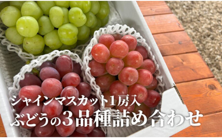 y2026Ns\z{̂ԂǂRilߍ킹(VC}XJbg) 3~5[/v2.0kg~ (RY) yKF-B067-02z