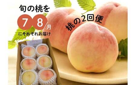 �y2026�N��s�\��z�y����Ƃ��t�@�[���z�{�̓��̐H�ה�ׂ��y���ށA���̂Q��ցI(�����) (���R���Y)�yKF-T025-01�z