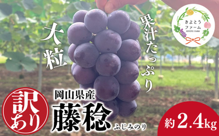 [2026年先行予約]訳あり 種なし ボッケーネ(藤稔) 約2.4kg (岡山県産) / 岡山 真庭 ピオーネ 高級 2.4kg 真庭市 大粒 葡萄 果物 フルーツ 濃厚 人気 数量限定[KF-B090-02]