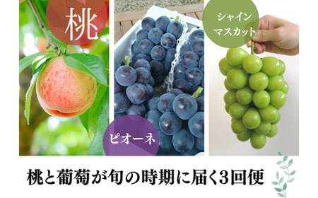 [2026年先行予約]旬採り桃とピオーネ、シャインマスカットが届く3回便!(定期便) (岡山県産)[KF-T001-02]