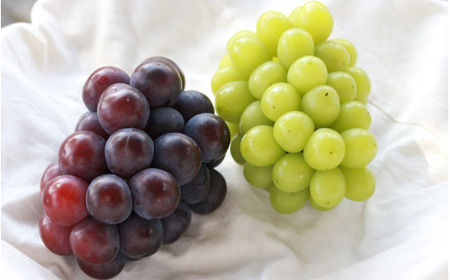 �y2026�N��s�\��z�y�󂠂�zNISSHOKU FARM ���ƒ�p�Ԃǂ��Q��Z�b�g 2�[ ��1.0kg / �Ԃǂ� �l�ߍ��킹 �u�h�E ���� �V���C���}�X�J�b�g �s�I�[�l �N�C�[���j�[�i �I�[�����u���b�N ��s�\�� �t