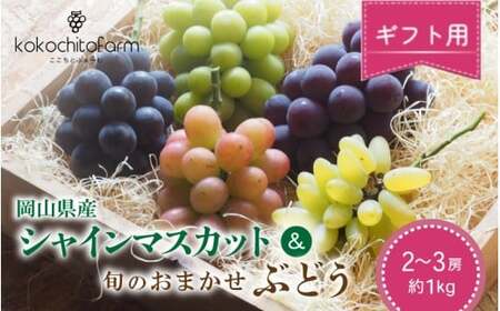 [2026年先行予約] ここちとふぁーむ [ギフト] 岡山県産 シャインマスカット&旬のおまかせぶどう 2〜3房 約1kg [koko015-01]