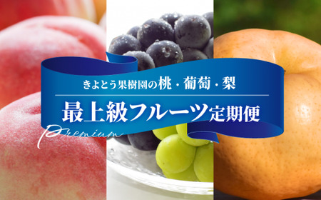 [2026年先行予約]桃、ぶどう、梨の最上級品を旬にお届けする3回便! (定期便)(岡山県産) [KF-T033-01]