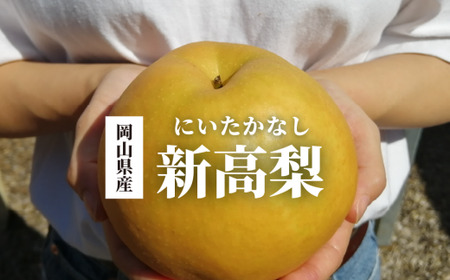 [2026年先行予約]新高梨 ご家庭用 3-6玉 (岡山県産)[KF-C020-01]