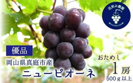 [2026年の先行予約] 花笑み農園の『ニューピオーネ』500g以上(中1房) 岡山 真庭 ピオーネ ぶどう [hana079-01]