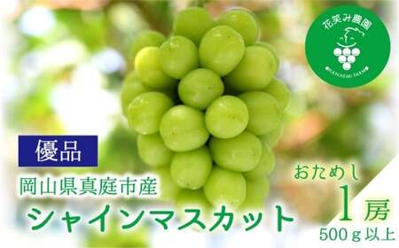 [2026年先行予約]花笑み農園の『シャインマスカット』500g以上(中1房)岡山 ぶどう シャインマスカット 真庭市 [hana081-01]