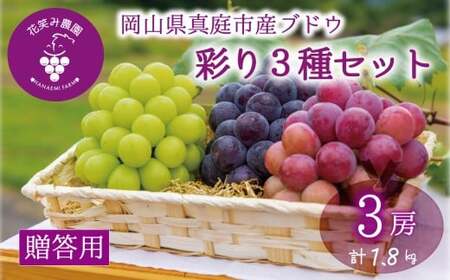 [2026年の先行予約] 花笑み農園 ぶどう『彩り3種セット』贈答用(1.8kg) 岡山 詰め合わせ 食べ比べ 真庭市 [hana084-01]