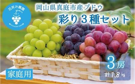 【2026年の先行予約】 花笑み農園 ぶどう 『彩り３種セット』家庭用（1.8kg） 岡山 詰め合わせ 食べ比べ 真庭市 【hana085-01】