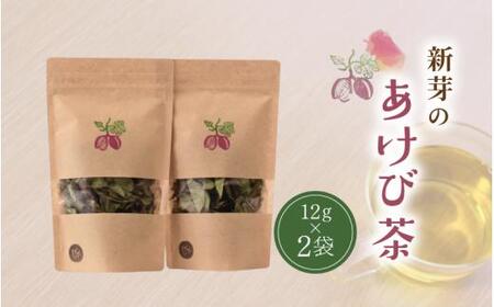 新芽のあけび茶 12g×2 / アケビ 岡山県 真庭市 しげや [shigeya008-01]