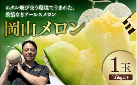 [2026年先行予約] 岡山の アールスメロン1玉(1.5kg以上) ※7月末より順次発送 真庭市 [mnem001-01]