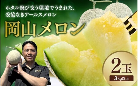 [2026年先行予約] 岡山メロン アールスメロン2玉(3kg以上) ※7月末より順次発送 真庭市 [mnem002-01]