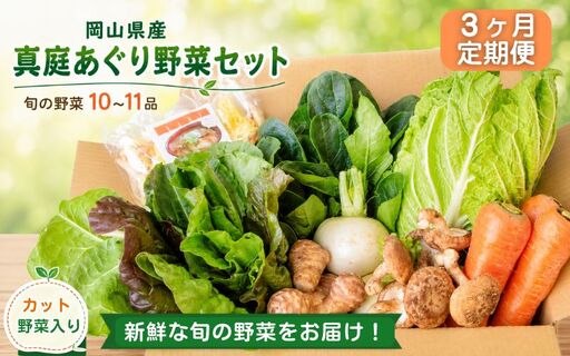 [3カ月定期便]真庭あぐり野菜セット カット野菜が1品入る 10〜11品 / 産地直送 農家 お試し 岡山県 新鮮 あぐりガーデン 国産 [配送不可地域:北海道/沖縄県/離島] [jujy-tkb051]
