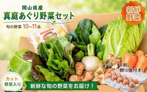 まにわの野菜 真庭あぐり野菜セット 10～11品 カット野菜入り 平飼い卵付き  / 詰め合わせ 産地直送 岡山県 真庭市 新鮮 あぐりガーデン 産直工房 国産【配送不可地域：北海道／沖縄県／離島】【jujy055-01】