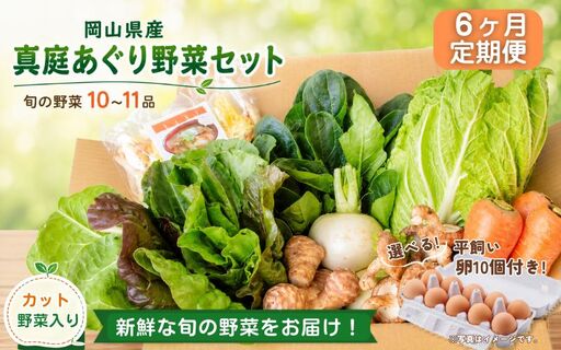【6カ月定期便】真庭あぐり野菜セット カット野菜が1品入る 10～11品 平飼い卵付き / 産地直送 農家 お試し 岡山県 新鮮 あぐりガーデン 国産 【配送不可地域：北海道／沖縄県／離島】 【jujy-tkb063】