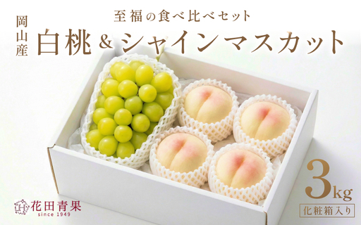 【2026年先行予約】シャインマスカット＆白桃 詰め合わせ 約3kg 岡山県産 フルーツセット ぶどう 桃 8月中旬～9月中旬順次発送【hnds012】