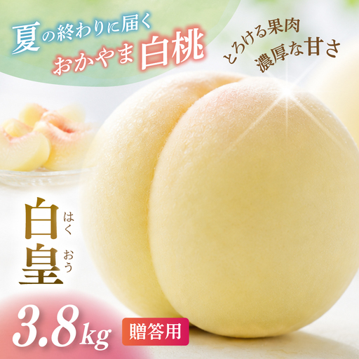 [2026年先行予約] 岡山県産 白皇 3.8kg 贈答用 はくおう 花田青果[8月中旬〜9月初旬まで順次発送予定][hnds006]
