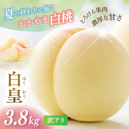 【2026年先行予約】 岡山県産 白皇 3.8kg 訳アリ 白桃 はくおう 花田青果【8月中旬～9月初旬まで順次発送予定】/ 桃 もも モモ 果物フルーツ 訳あり品 岡山県【hnds008】
