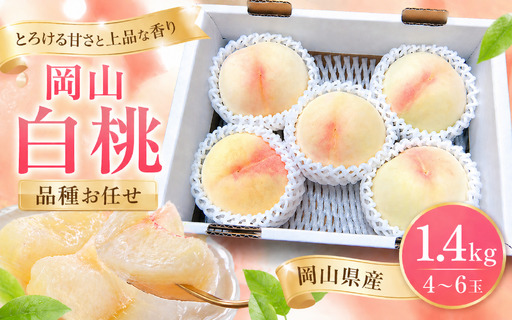 [2026年先行予約]桃 岡山白桃 約1.4kg(4〜6玉)岡山県産 ご家庭用 もも 白桃 フルーツ 果物 きびもも園[kbmm002]