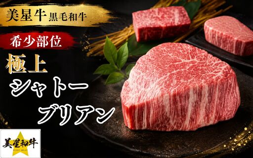 岡山県産 黒毛和牛 美星牛 シャトーブリアン 100g×2枚(200g) 岡山県 黒毛和牛 美星牛 ステーキ 数量限定 ご褒美 ギフト 国産 牛肉[msmt004-01]