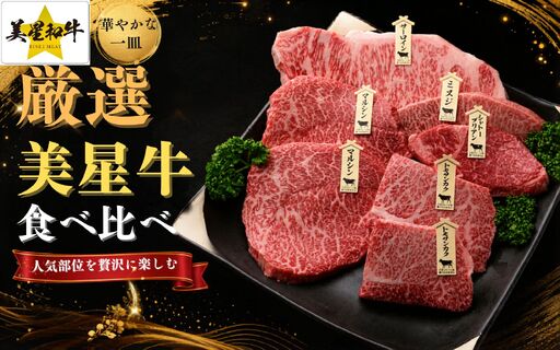 岡山県産 黒毛和牛 美星牛 贅沢ステーキ食べ比べセット 約1kg 国産 牛肉[msmt005-01]