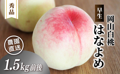 岡山白桃 (早生/はなよめ) 秀品 1.5kg前後 4〜6玉 桃 白桃 momo40 [配送不可地域:北海道/沖縄県/離島] [jujy076-01]