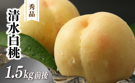 清水白桃 秀品 1.5kg前後 4〜6玉 momo02 [配送不可地域:北海道/沖縄県/離島] [jujy079-01]